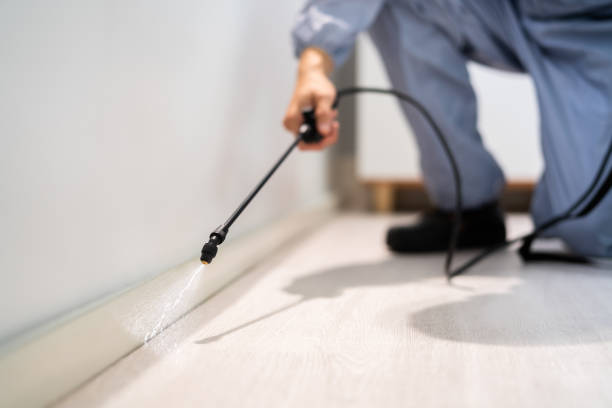 Licensed Pest Control service in Armada, MI - Show Me Pest Control