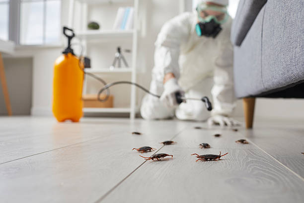 Post-Treatment Bed Bug Interceptor Monitoring in Armada