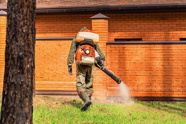 Bed Bug Clearance Verification and Documentation in Armada
